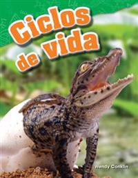 Ciclos de Vida