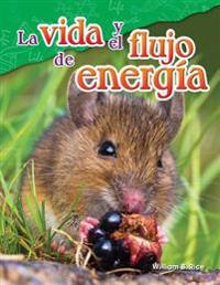 vida y el flujo de energia