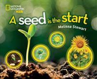 A Seed Is the Start
