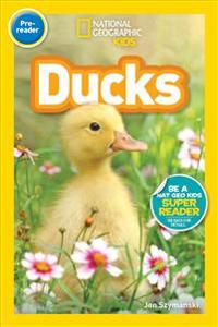 Ducks (National Geographic Kids Readers, Pre-Reader)