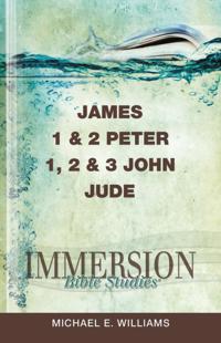 Immersion Bible Studies