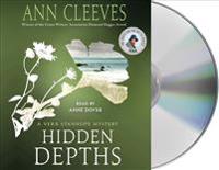Hidden Depths