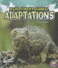 Rain Forest Animal Adaptations