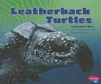 Leatherback Turtles