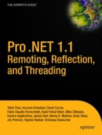 Professional and Applied Computing