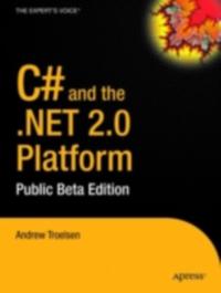 Professional and Applied Computing