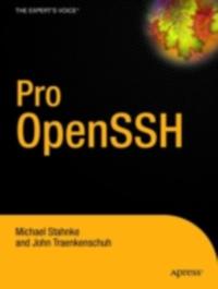 Professional and Applied Computing