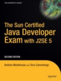 Professional and Applied Computing