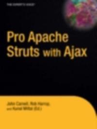 Professional and Applied Computing