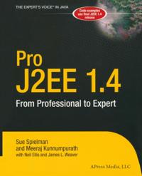 Professional and Applied Computing