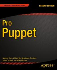 Professional and Applied Computing