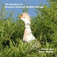The Rookery at Noxubee Wildlife Refuge