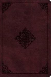 ESV Gospel Transformation Bible