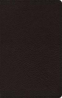 ESV Omega Thinline Reference Bible
