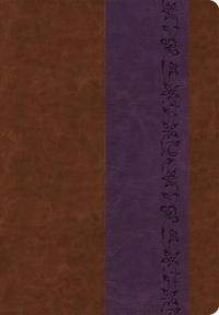 ESV Giant Print Bible