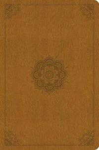 ESV Compact Outreach Bible, Premium Edition