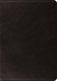 Systematic Theology Study Bible