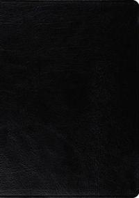 ESV MacArthur Study Bible, Large Print