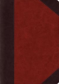 ESV Study Bible, Large Print (TruTone, Brown/Cordovan, Portfolio Design)