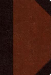 ESV Large Print Compact Bible