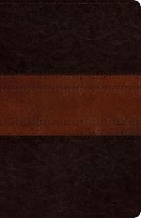 ESV Reference Bible
