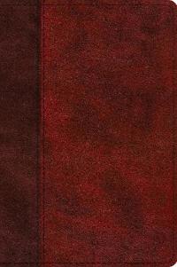 ESV Journaling New Testament, Inductive Edition