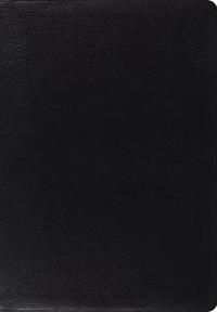Holy Bible