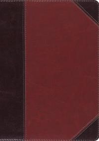 ESV MacArthur Study Bible, Large Print
