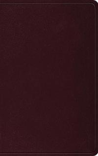 ESV Thinline Bible