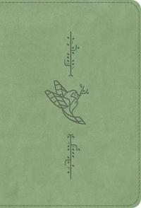 ESV Kid's Bible, Compact