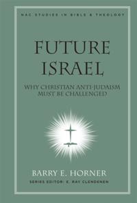New American Commentary Studies in Bible and Theology