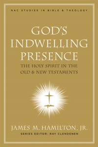 New American Commentary Studies in Bible and Theology