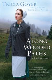 A Big Sky Novel