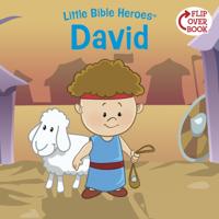 Little Bible Heroes™
