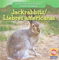 Jackrabbits / Liebres Americanas