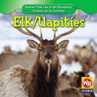 Elk / Uapitíes