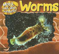 Worms