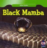 Black Mamba
