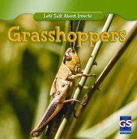 Incredible Grasshoppers