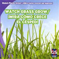 Watch Grass Grow / Mira Como Crece El Cesped!