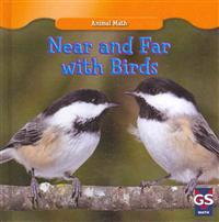 Near and Far with Birds