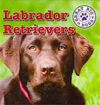 Labrador Retrievers