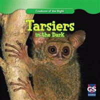 Tarsiers in the Dark