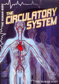 The Circulatory System