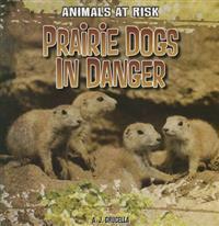 Prairie Dogs in Danger