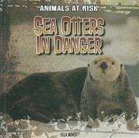 Sea Otters in Danger
