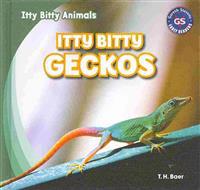Itty Bitty Geckos