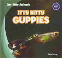 Itty Bitty Guppies