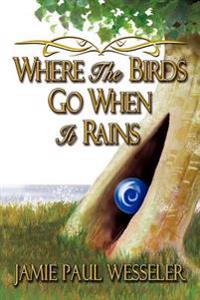 Kirjan kansi "Where The Birds Go When It Rains"