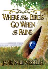 Where The Birds Go When It Rains